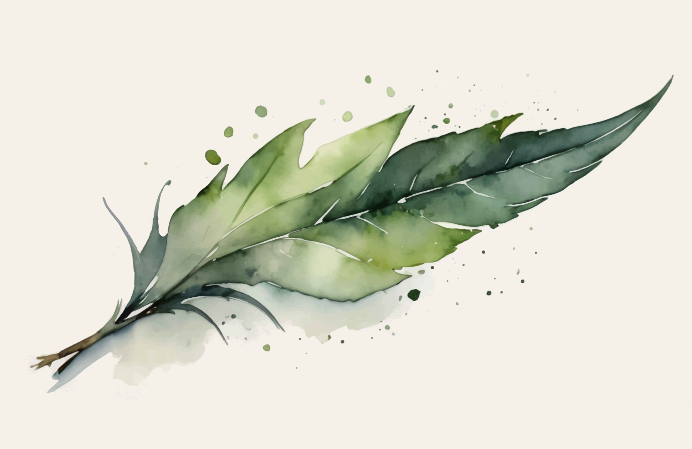 Minimalistische botanische lijntekening van een blad – groene accenten op een lichte achtergrond.