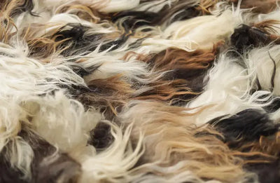 Close-up van een gevlekte dierenhuid met lange, zachte haren in tinten wit, bruin en zwart, met zichtbare textuur en natuurlijke kleurvariatie