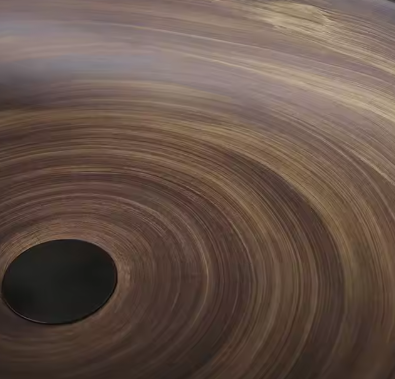 TerraLignum