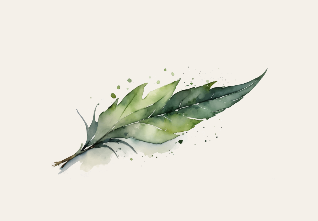 Minimalistische botanische lijntekening op canvas – moderne kunst met een natuurlijke uitstraling, opgehangen in een interieur.
