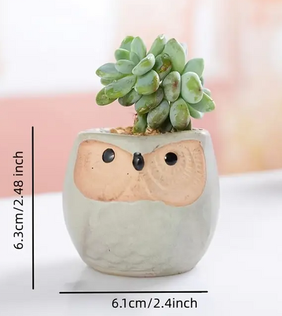 Set of 6 Owl Pots