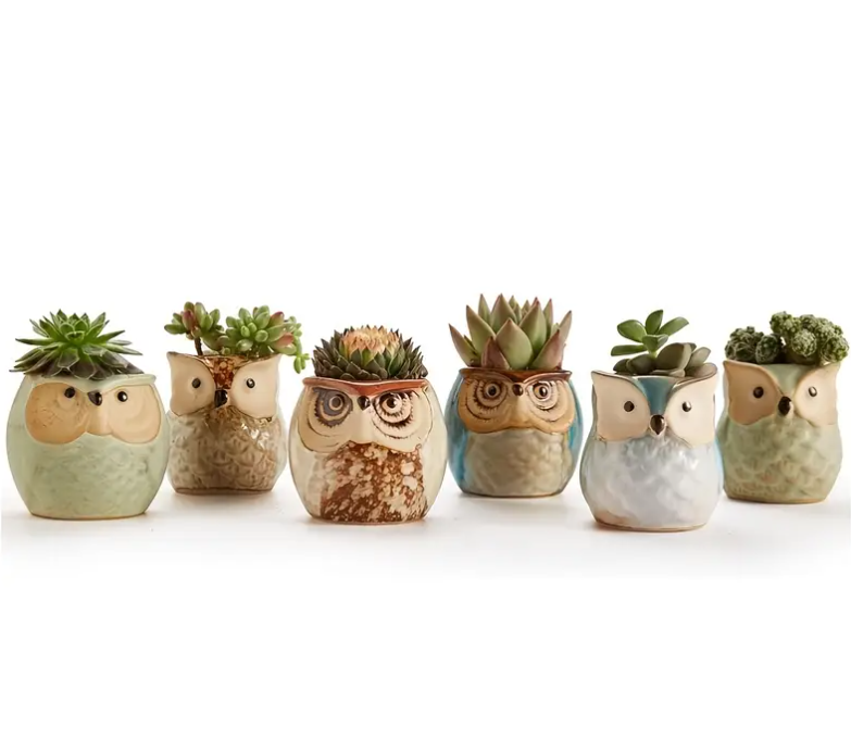 Set of 6 Owl Pots